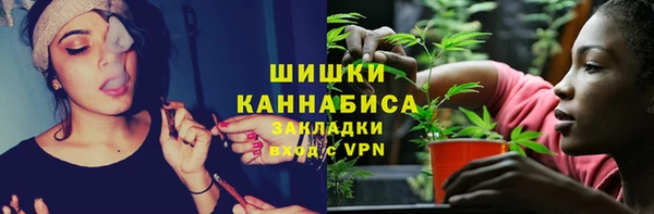 прущие грибы Нефтекумск