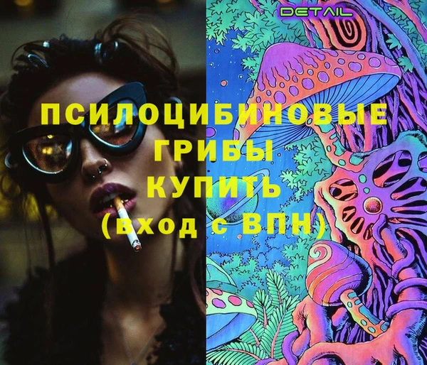 мяу мяу мука Билибино