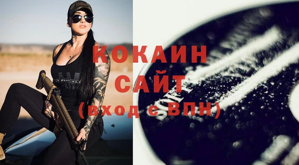 прущие грибы Нефтекумск