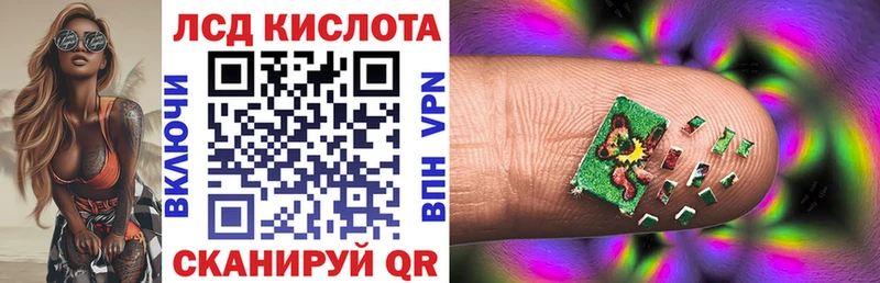 мега зеркало  Новотроицк  Наркотические марки 1,8мг  купить  сайты 
