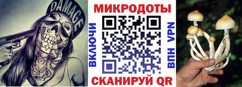 купить наркотик  Новотроицк  Псилоцибиновые грибы Magic Shrooms 