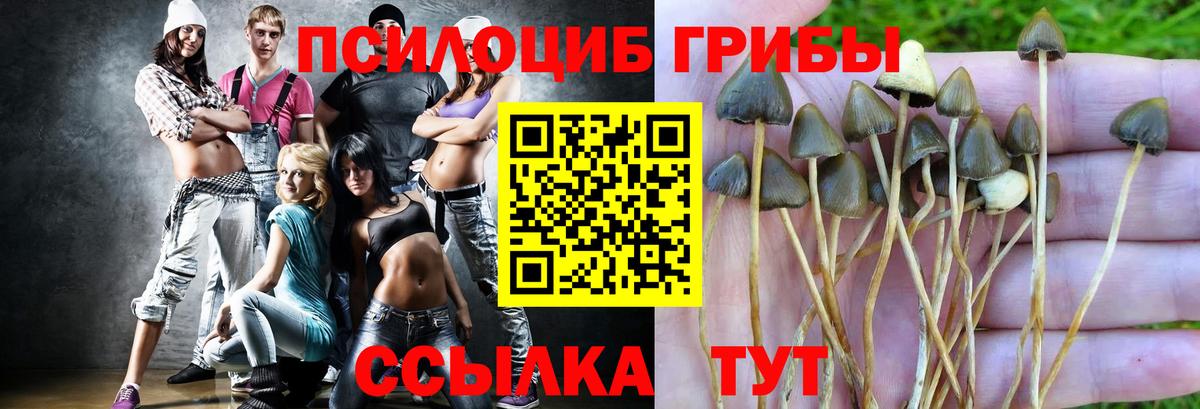 Галлюциногенные грибы Magic Shrooms Новотроицк